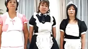 Виа ласива